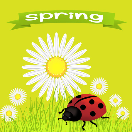 タンポポとてんとう虫 ベクトル イラスト春の背景のイラスト素材 ベクタ Image