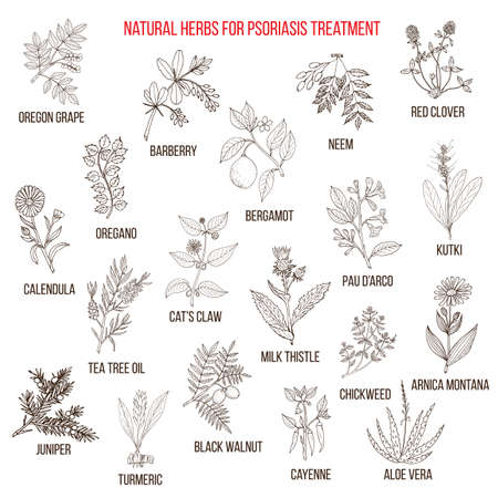 Best natural herbs for psoriasis treatment Vector Illustration