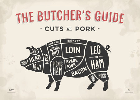 grilled pork: Cut của bộ thịt. Poster Butcher sơ đồ, kế hoạch và hướng dẫn - Thịt lợn. Vintage vẽ tay typographic. vector hình minh họa