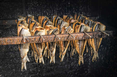 A few dozen herring attaxhed to steel pins in the proces of being smoked in a traditional way inside a black box Stock Photo