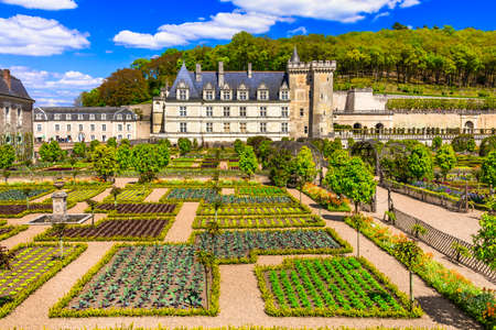 Most beautiful castles of europe - chateau villandry with splendid botanical gardens . loire valley, france Фото со стока