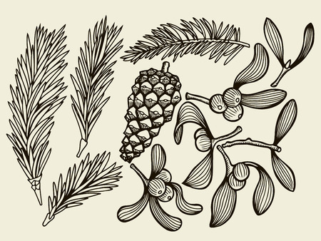 ベクター クリスマスの植物で設定 植物のイラスト ホリー トウヒ マツ ツゲ トウヒとマツ 円錐形の支店 白い背景に分離されたデザイン要素です 彫刻スタイル 黒と白 のイラスト素材 ベクタ Image ベクター クリスマスの植物で設定 植物のイラスト ホリー トウヒ マツ ツゲ トウヒとマツ 円錐形の支店 白い背景に分離されたデザイン要素です 彫刻スタイル 黒と白 のイラスト素材 ベクタ Image