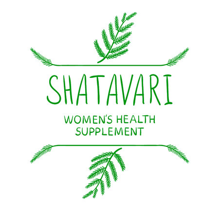 Shatavari:女性健康补充剂的手写信件与手绘边界,绿色白色。