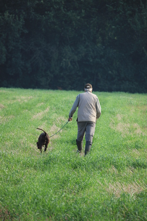 Hunter With His German Shorthaired Pointer Hunting Dog Stock Photo