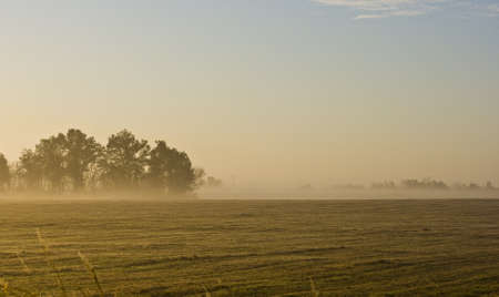 Early Morning Landscape Of Missouri Farm Field