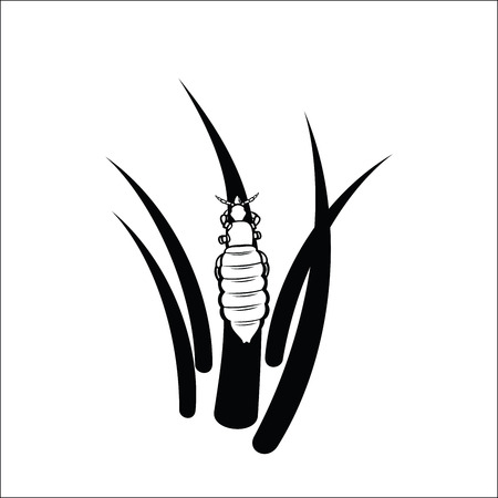 black and white louse on hair clip art preview