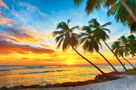 Caraibes Imagenes Y Fotos 123rf Caraibes Imagenes Y Fotos 123rf