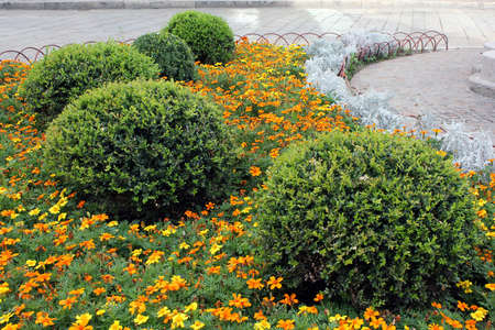 Particolare paesaggio quotidiano in citt?: progettazione giardini ... Progettazione aiuole giardini