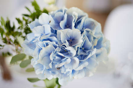 スタイリッシュでおしゃれな結婚式アーチ式の青と白の別花で飾られました 花柄のデザイン 夏の川や海の背景について結婚式の準備で屋外レストラン の写真素材 画像素材 Image スタイリッシュでおしゃれな結婚式アーチ式の青と白の別花で飾られました 花柄のデザイン 夏の川や海の背景について結婚式の準備で屋外レストラン の写真素材 画像素材 Image