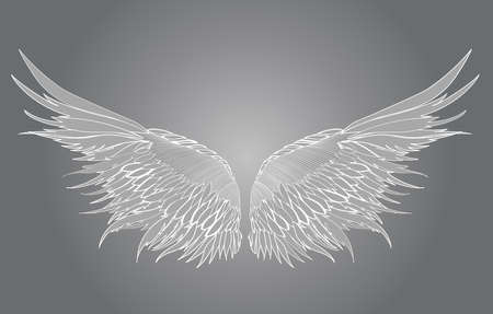 白翼ベクトル黒の背景イラストです のイラスト素材 ベクタ Image