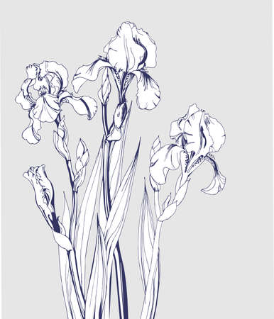 ビンテージの誕生日カードが咲く菖蒲と蝶 搭乗券 誕生日カード 招待