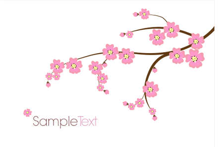 Peach flower: Bưu thiếp với chi nhánh Nhật Bản Hình minh hoạ
