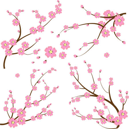 Peach flower: Chi nhánh Nhật Bản