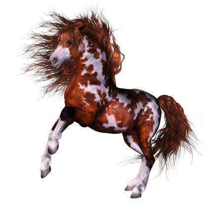Il Walhalla, leggenda germanica a puntate. 10218301-un-cavallo-accessoriato