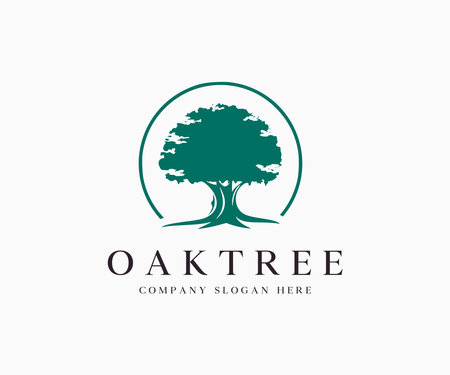 Oak tree silhouette logo icon vector illustration template design editable resizable