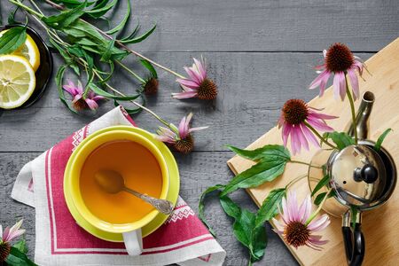 Echinacea to cenna roślina lecznicza o działaniu immunostymulującym. następnie w filiżance herbaty ziołowej z jeżówką.