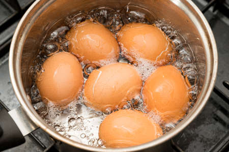 Oeufs bouillis dans de l'eau bouillante dans une casserole
