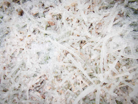 Frozen Grass in Ice Texture Stock Photo - 70606079