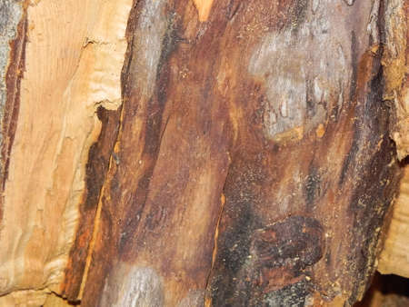 Split wood texture Stock Photo