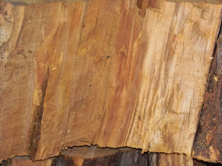 Split wood texture Stock Photo