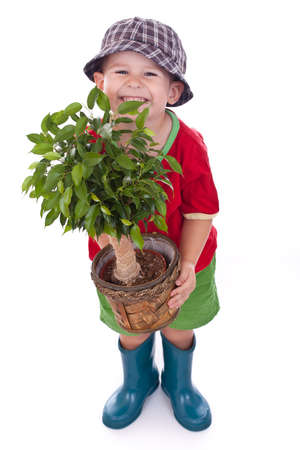 Little gardener boy, isolated on white Фото со стока