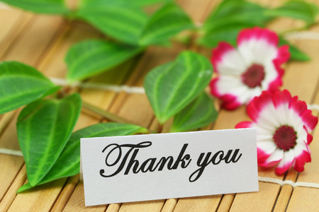 ありがとう花メッセージ の写真素材 画像素材 Image ありがとう花メッセージ の写真素材 画像素材 Image