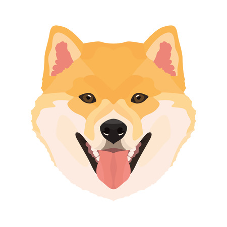 イラスト 柴犬 すべての犬の所有者のために あなたは彼の犬について何が好きですか 子犬の目 尾を振る 笑顔 吠える 柴犬は男の親友です のイラスト素材 ベクタ Image