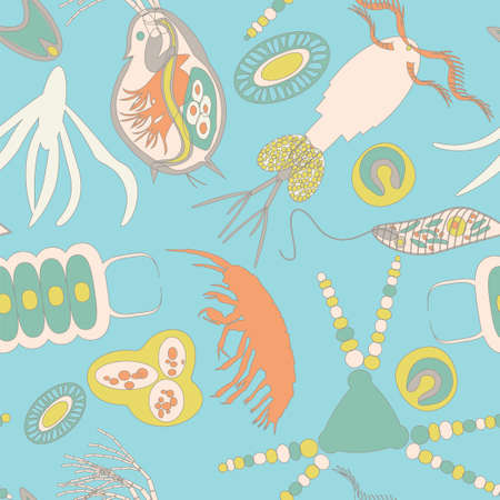 植物プランクトンの小さな生物 単純な浮遊性動物植物のベクトル図です のイラスト素材 ベクタ Image