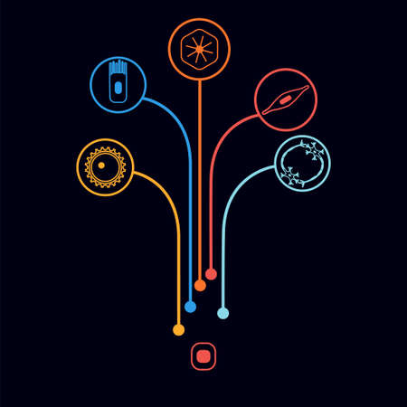 幹細胞から発達する異なるヒト細胞型 神経 上皮 筋肉 血液 卵母細胞のストックベクター図 医学と生物学コレクション のイラスト素材 ベクタ Image 93699631