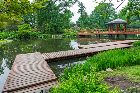 wide angle view of japanese garden pier red japanese bridge and beautiful water plants - Red Japanese Garden Bridge wide angle view of japanese garden pier red japanese bridge and beautiful water plants - Red Japanese Garden Bridge