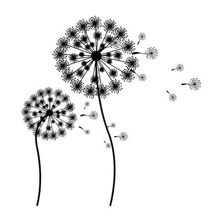 空飛ぶ打撃タンポポの芽ベクトル イラストをシルエットします のイラスト素材 ベクタ Image
