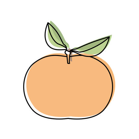 漫画みかんフルーツ ベクトル図を笑顔の水彩のシルエットと白い背景のイラスト素材 ベクタ Image 5951