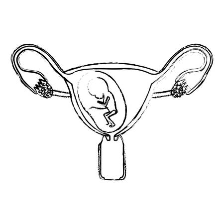 女性の生殖システムの卵巣胎児人間の成長 9 月ベクトル イラストのモノクロ シルエット のイラスト素材 ベクタ Image 女性の生殖システムの卵巣胎児人間の成長 9 月ベクトル イラストのモノクロ シルエット のイラスト素材 ベクタ Image