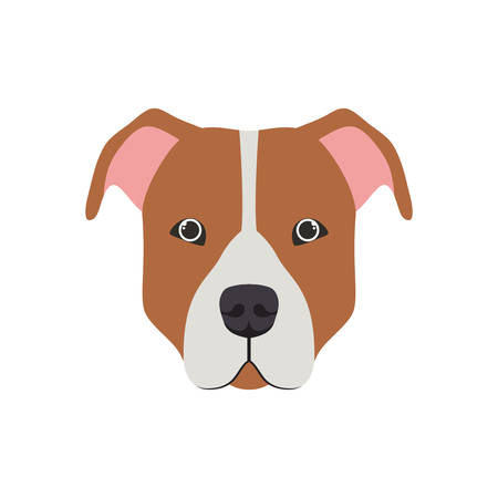 pitbull face stock illustrations