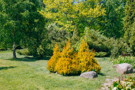 green trees and bushes in garden garden design stock photo picture and royalty free image image 70761650 - Garden Design Trees green trees and bushes in garden garden design stock photo picture and royalty free image image 70761650 - Garden Design Trees