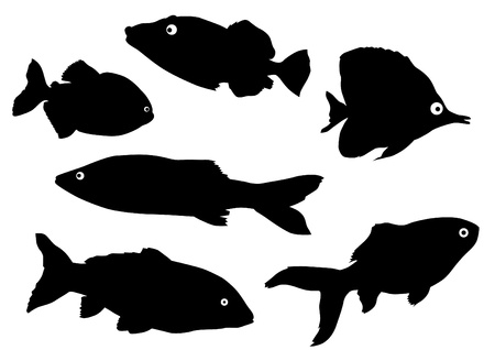 ベクター熱帯魚のシルエットを描画のイラスト素材 ベクタ Image