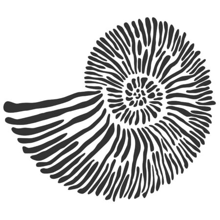 534 アンモナイト のイラスト素材 ベクター 123rf 534 アンモナイト のイラスト素材 ベクター 123rf