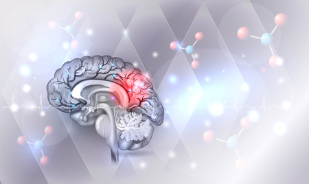 Human brain abstract light grey abstract background with glow Stock Vector - 82408819