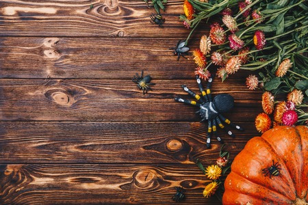 新鮮なカボチャ クモと花と虫とハロウィンのコンセプトです トリックまたは治療上からの眺め の写真素材 画像素材 Image 新鮮なカボチャ クモと花と虫とハロウィンのコンセプトです トリックまたは治療上からの眺め の写真素材 画像素材 Image