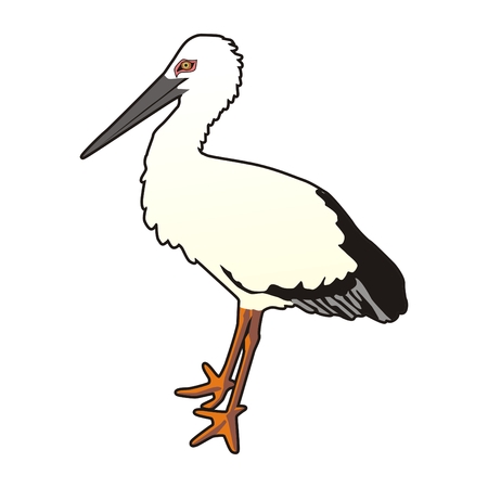 美しい花の画像 ベストコウノトリ イラスト リアル