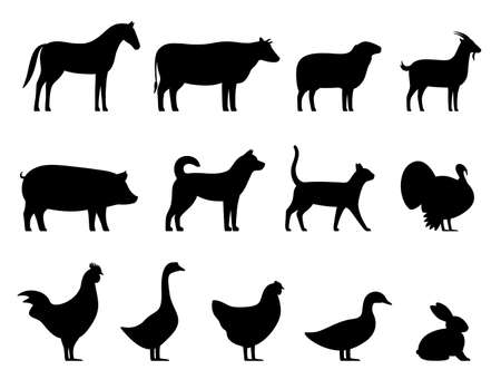 Livestock, farm animals black icons set, vector illustration Banco de Imagens