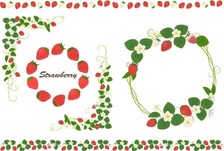 Strawberry vector with leaves and flowers.set of decorative strawberry frames and borders.