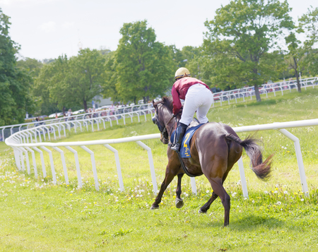 ストックホルム スウェーデン 17 年 6 月 6 日 Gardet で Nationaldags Galoppen で茶色のアラビアン競走 馬に乗って女性騎手の後姿 17 年 6 月 6 日 ストックホルム スウェーデン の写真素材 画像素材 Image ストックホルム スウェーデン 17 年 6 月 6 日 Gardet で Nationaldags Galoppen で茶色のアラビアン競走 馬に乗って女性騎手の後姿 17 年 6 月 6 日 ストックホルム スウェーデン の写真素材 画像素材 Image