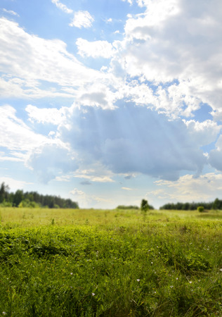 フィールド上空を飛ぶトンボのいる風景します の写真素材 画像素材 Image