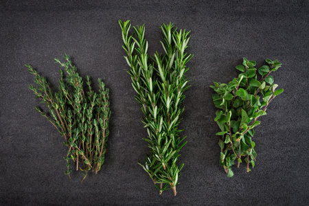 新鮮なローズマリーとタイムのハーブ の写真素材 画像素材 Image