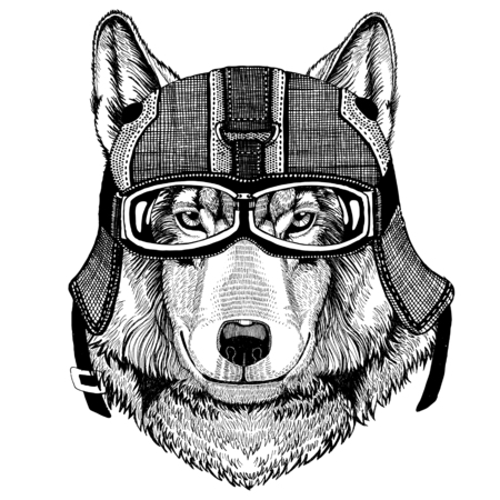 バイクのヘルメット フライト ヘルメット イラスト T シャツ パッチ ロゴ バッジ エンブレム 身に着けている狼犬野生動物野生動物のバイカー T シャツのロゴ の写真素材 画像素材 Image