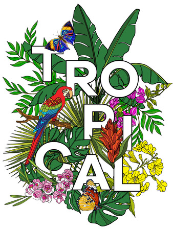 常夏 のコラージュ熱帯野鳥と言葉を持つ花 色ベクトルの図 のイラスト素材 ベクタ Image 常夏 のコラージュ熱帯野鳥と言葉を持つ花 色ベクトルの図 のイラスト素材 ベクタ Image