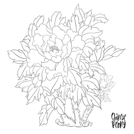 236 400 シルク のイラスト素材 ベクター 123rf