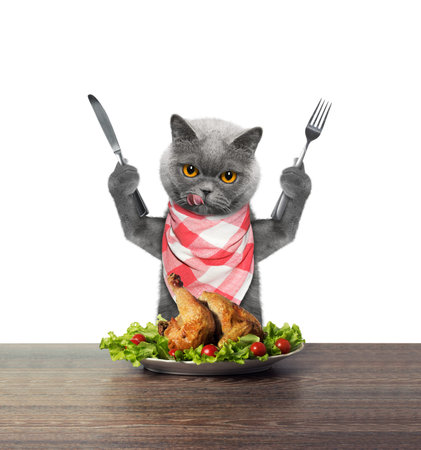 kitten eating chicken