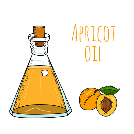 カラフルな手には クルミ油瓶が描かれました 食用油とクルミの分離のかわいいデキャンタ アロマセラピーの大ざっぱな漫画イラスト 化粧品 オーガニック ショップ コルクのガラスの水差し のイラスト素材 ベクタ Image カラフルな手には クルミ油瓶が描かれました 食用油とクルミの分離のかわいいデキャンタ アロマセラピーの大ざっぱな漫画イラスト 化粧品 オーガニック ショップ コルクのガラスの水差し のイラスト素材 ベクタ Image